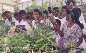 http://www.stopthedrugwar.org/files/ayurveda.gif