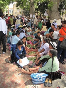 http://www.stopthedrugwar.org/files/coca-chew-in-1.jpg