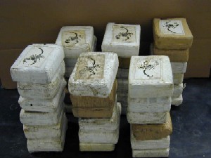 http://www.stopthedrugwar.org/files/cocainebricks.jpg