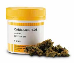 http://www.stopthedrugwar.org/files/dutchmedmj.jpg