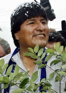 http://www.stopthedrugwar.org/files/evomorales.jpg
