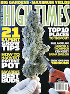 http://www.stopthedrugwar.org/files/hightimesfreedomfighter.png