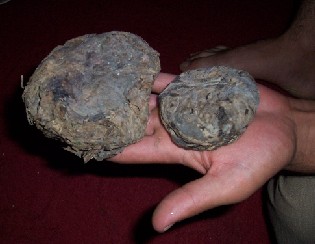 http://www.stopthedrugwar.org/files/jalalabad-opium.jpg
