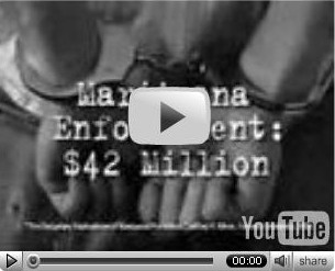 http://www.stopthedrugwar.org/files/nevadayoutube.jpg