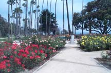 http://www.stopthedrugwar.org/files/santamonica.jpg
