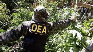 There has been less of this going on in recent years, the USSC reports. (dea.gov)