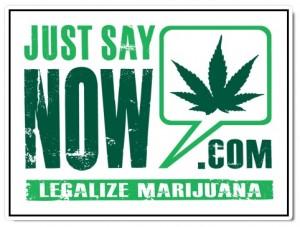 "Just Say Now" campaign logo