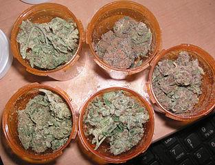 Medical marijuana is at issue in Congress. (Wikimedia)
