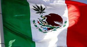 Mexico's congress is set to vote on a marijuana legalization bill this month. (Creative Commons)