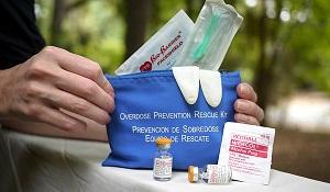 The opioid overdose reversal drug naloxone is coming to Michigan. (harmreduction.org)