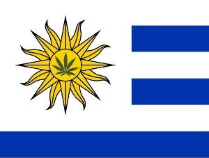 uruguay pot flag_0.jpg