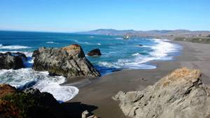1000x563-sonoma-coast-beach (1).jpg
