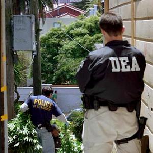 dea-emails-marijuana_1.jpg