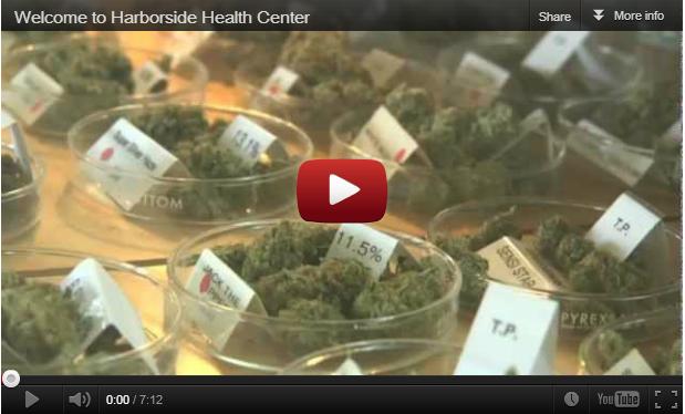 Harborside video