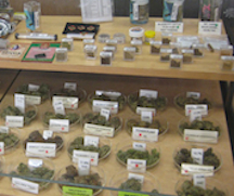 marijuanaforsale.jpg