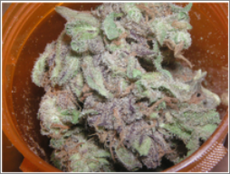 medicalmarijuana.png