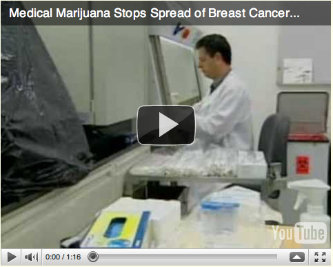 mmjbreastcancer.jpg