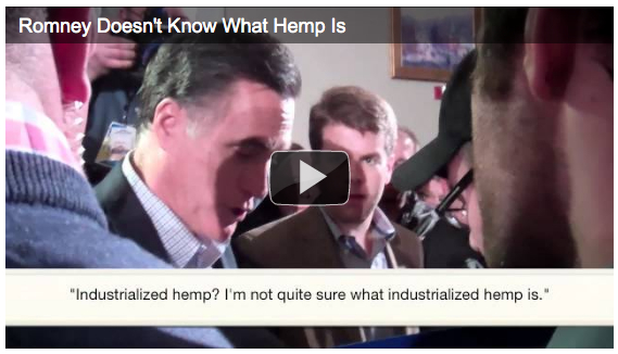 romneyhemp.jpg