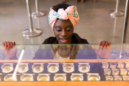 Legal marijuana purchaser eyes the products on offer. (Sandra Yruel/Drug Policy Alliance)