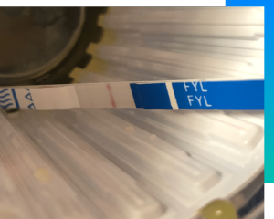 More states are taking up bills to legalize fentanyl test strips in a bid to reduce overdoses. (Creative Commons)