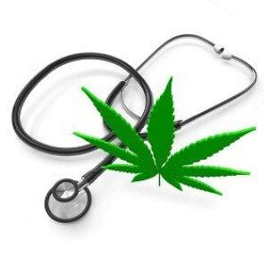 MMJ leaf and stethoscope KY ODCP_43.jpg