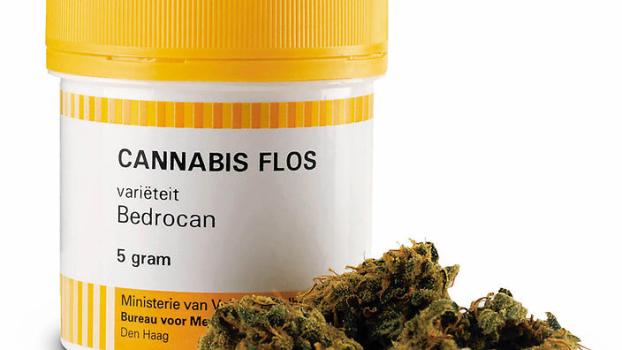 Medical marijuana is seeing action at statehouses in the US and in foreign capitals. (wikimedia.org)