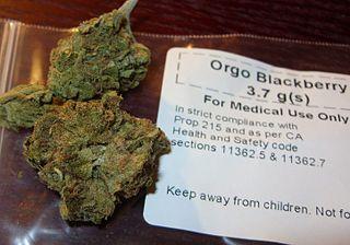 medical marijuana (wikimedia.org)