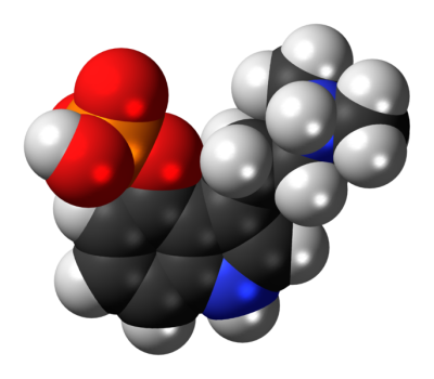 Psilocybin is going to get som clinical trials in Arizona. (Creative Commons)