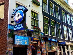 An Amsterdam cannabis coffee shop. The Dutch are set to begin an experiment in a legal supply for the shops. (Creative Commons) 