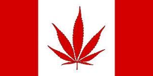 canada pot flag_13.jpg