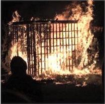 catharsis-cell-burning.jpg