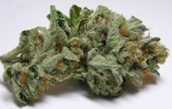 Possessing a bud or two won't get you arrested in Baltimore anymore. (Creative Commons)
