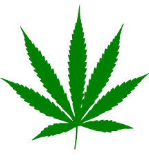 Connecticut could be the next state to legalize marijuana. (Creative Commons)