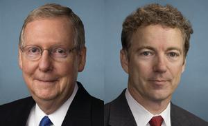 Kentucky Republicans McConnell and Paul are supporting hemp legislation in the Senate