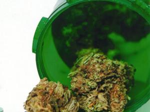 medical-marijuana COLO DOT_18.jpg
