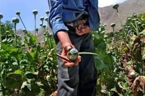 Despite an announced Taliban ban on opium, sales are continuing at the market in Helmand. (UNODC)