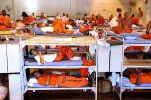 prisoners nadcp dot org_9.jpg