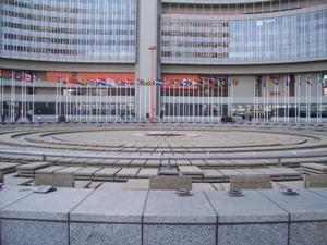 Medical marijuana was on the move in 2019 -- sort of -- at the UN's Vienna headquarters.
