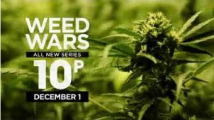 weedwars.jpg